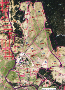 Top-down view of CH-FRU showing the different parcels. - <i>SITE-CH-FRU, YEAR-2020, MAP</i>
