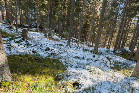 Photo: Lukas Hörtnagl / ETH Zurich - <i>CH-DAV, YEAR-2015, MONTH-10, LOC-FOREST, Snow</i>